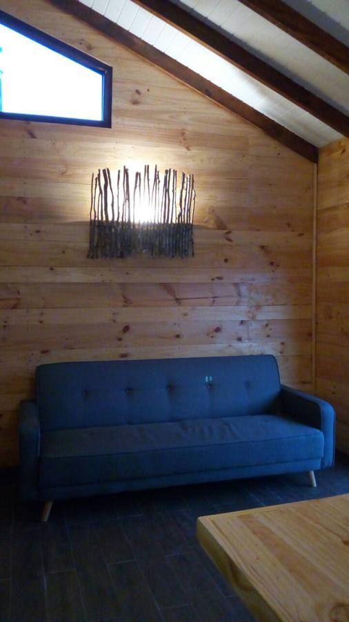 Lackuntur Pucon Departamentos 외부 사진